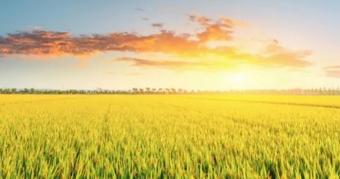 在自然與文明之間探尋生命學問