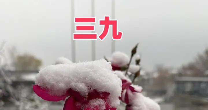 “三九在冬月，單衣過春節”，今年冬月二十進三九，春節會暖和嗎