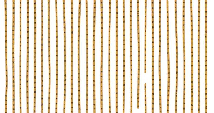 安大簡中的楚辭世界