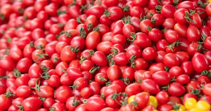 “天選減肥果”竟是它！低卡高纖還美味，多喫不怕胖