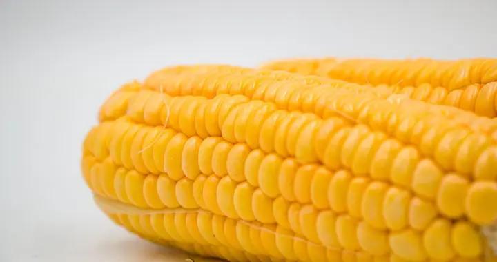 減肥，多喫這幾種乾淨碳水，讓你健康的瘦下來