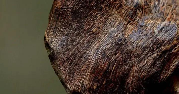 真不懂，爲啥現在的明星和有錢人都偏愛這個“爛木頭”？