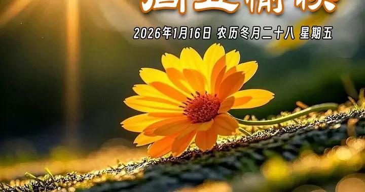 週五早安圖片|但願人長久，幸福每一天