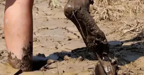 梁世傑：節奏脫節認知斷層，中醫蟄伏與重生