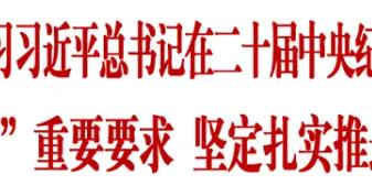 國務院國資委黨委認真傳達學習習近平總書記在二十屆中央紀委五次全會上的重要講話精神