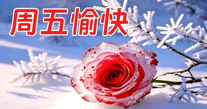 週五早安圖片|歲歲平安、喜樂常伴