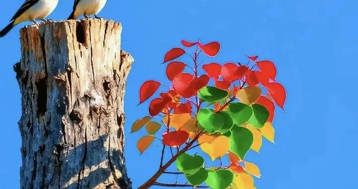 保重！平安！健康！照顧好自己！早上好！