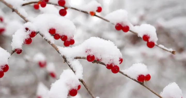 寒至極處是暖煙