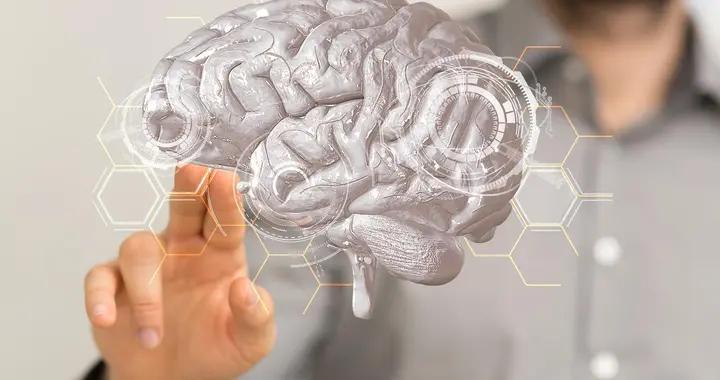 告別大腦“鏽住”狀態！感官聯動+認知挑戰，讓思維快速重啓