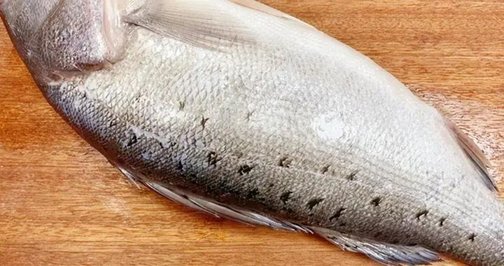 買鱸魚時，買鼓肚子還是癟肚子的？區別很大，這種別買給孩子喫了