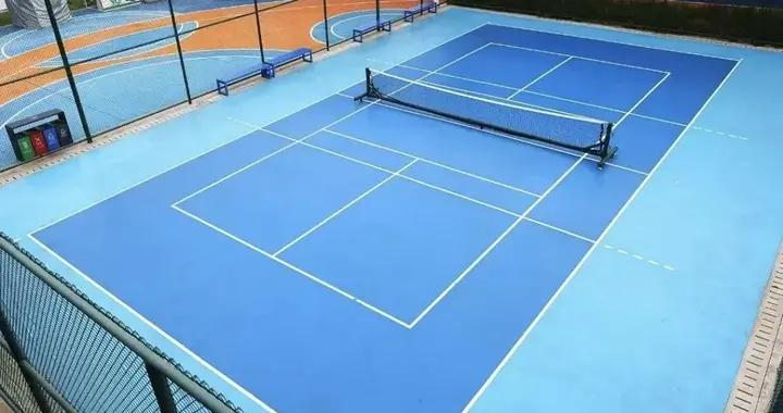 “匹”荊斬棘，“克”路先行——匹克球運動在平湖掀起熱潮