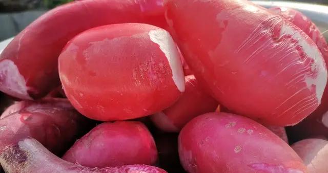 冬天，碰到這菜別手軟，買10斤曬乾儲存着，隨喫隨取，燉肉喫真香