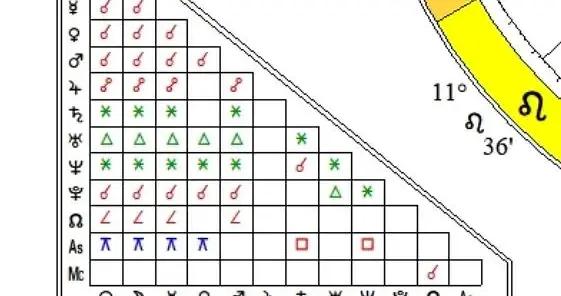 （新月）迪萬：2026年1月19日摩羯座新月——激活更高境界
