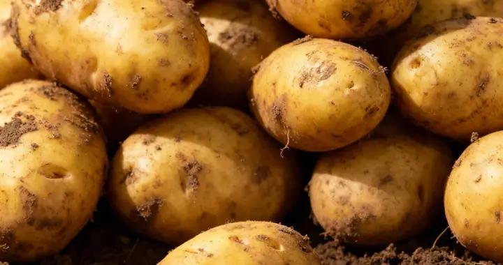 比蘋果維C多10倍！這 “不起眼食材”，便宜耐放又百搭，家家戶戶都愛囤！