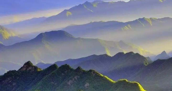 守護華夏祖脈：修復秦嶺，不負青山