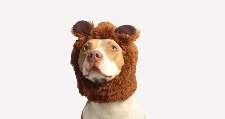 13個爆笑幽默笑話，笑掉大牙！讓你每日開心一笑，個個都值得收藏