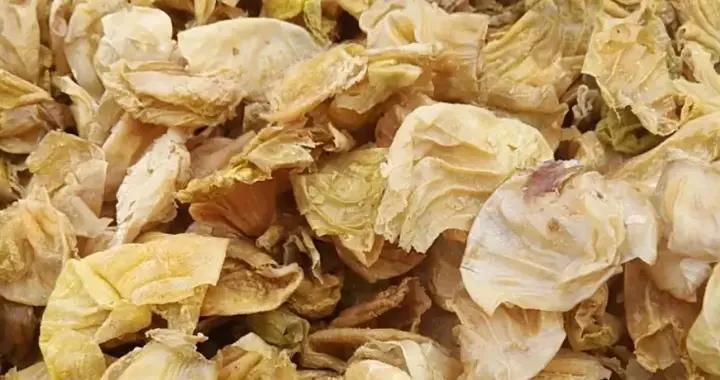 藥食推薦丨澀精止遺、健胃消食的“小胃袋”