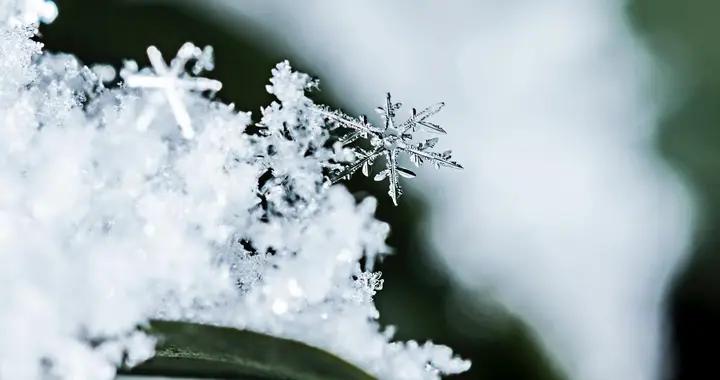 沁園春·臘月雪吟