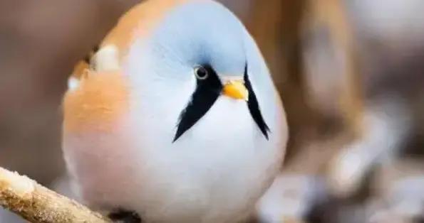 極品幽默笑話，笑點拉滿，看完笑到拍桌！我老婆笑得鼻涕泡滿天飛