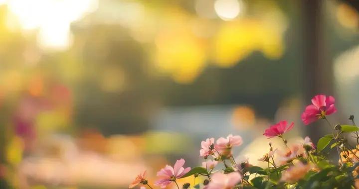 常遇春：一生無敗績的明朝開國猛將，他死後朱元璋痛哭流涕