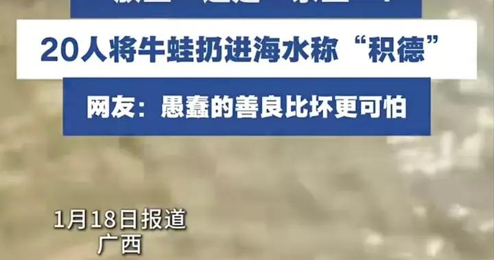 闢謠 | 有人在北海銀灘放生淡水龜、牛蛙？ 回應來了！