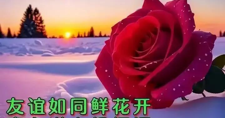 週三早安圖片|人間有愛一片金，相互牽掛，心連心