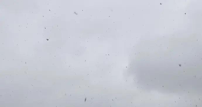 聽江南雪落的聲音，明日申城局部有雪