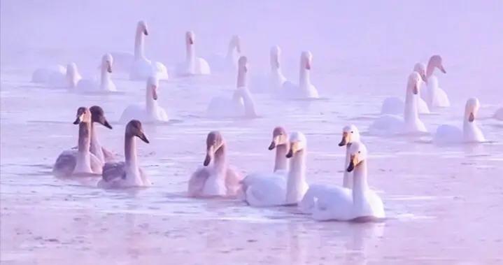 大寒迎年 靜候新暖