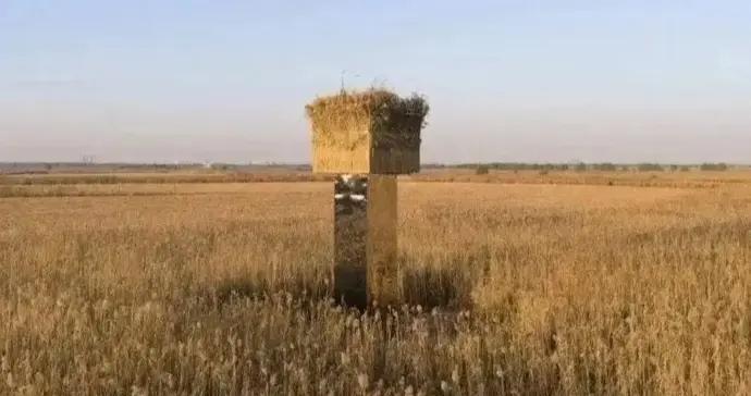 公共藝術，“公共”應是首要屬性