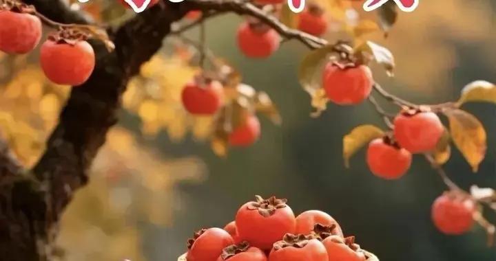 週三早安圖片|摯友情誼要珍惜，順心順意永祥和。早上好！