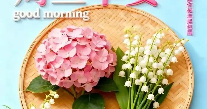 2026年1月21日週三早上好，週三早安問候語暖心圖片