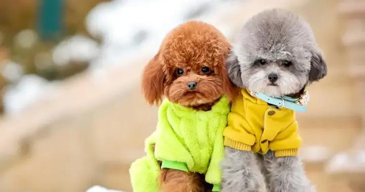 14個剛出爐的爆笑幽默笑話，個個笑點爆棚，看完絕對讓你笑7天7夜