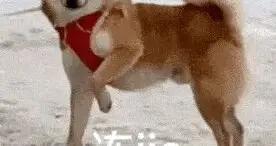 傍晚前後有雨夾雪，道路溼滑泥濘，今日或迎入冬以來最難下班路