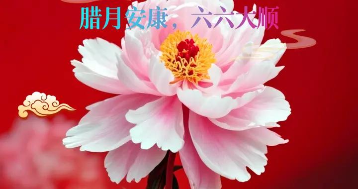 臘月十六，六六大吉：祝你順風順水順財神