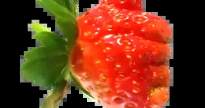 中醫說年貨｜誰能拒絕草莓？通便！養顏 ！！解酒！！！ 解乏！！！
