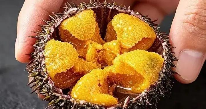 信我！年夜飯加上它，讓七大姑八大姨誇你到明年！