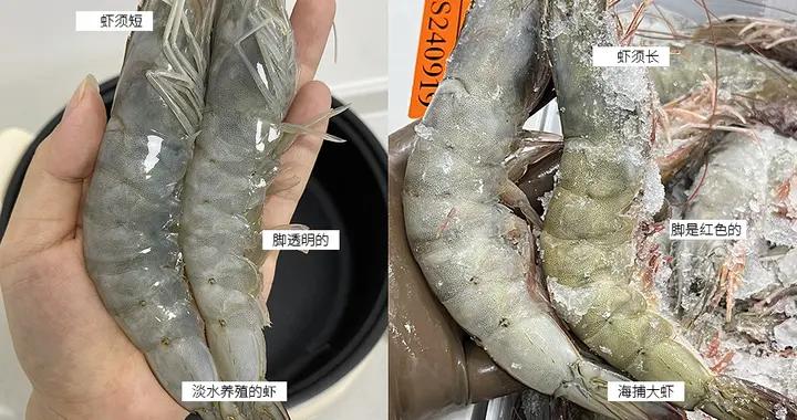 海鮮老闆說漏嘴：過年逛超市這10種海鮮不要碰，不好喫還有害健康