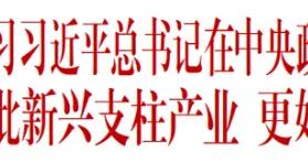 國務院國資委黨委認真傳達學習習近平總書記在中央政治局集體學習時重要講話精神