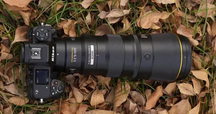 迅翼凝眸 尼康Z9+尼克爾 Z 600mm f/6.3 VR S生態攝影體驗