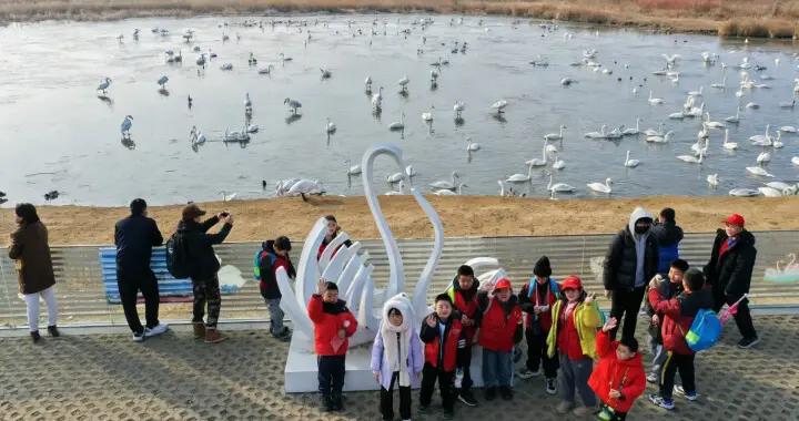 走進好客山東——小城不小 寶藏無價