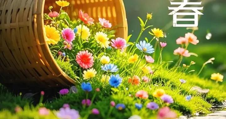 以立春爲序，攬一程春光，願前路皆坦途，歲歲皆安然。