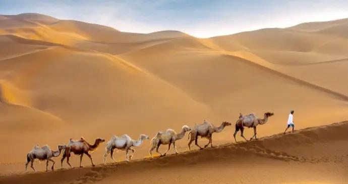 綠洲上的絲路詩篇