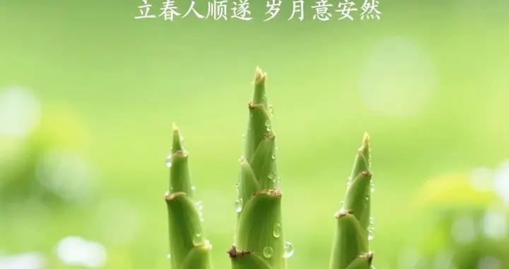 願你的春天，心如所願，春暖花開！