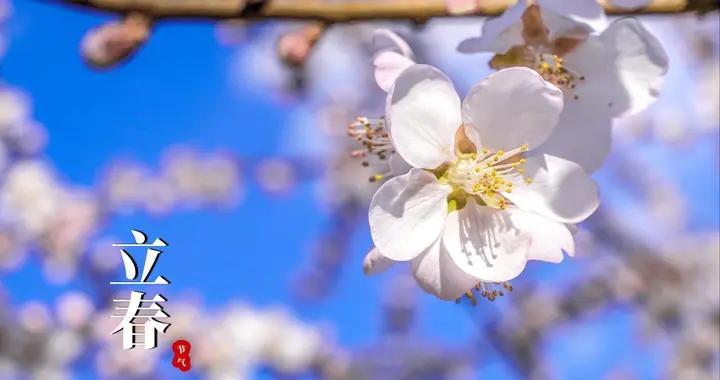 2月4日立春：今年幾點立春？“春打六九頭”有何含義？尊重老傳統