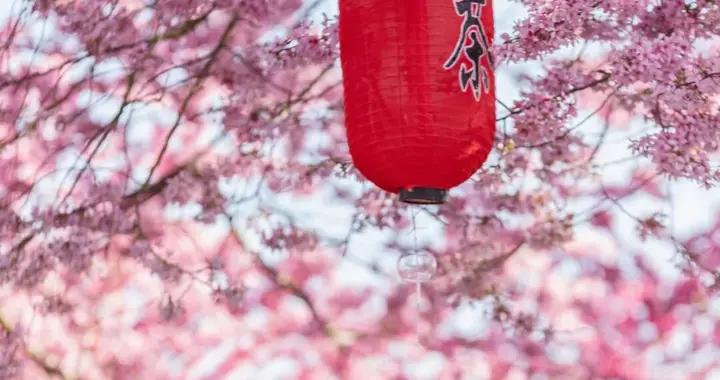 2月旅行地推薦！10個值得一去的小衆地，均溫20℃+，避寒又清淨