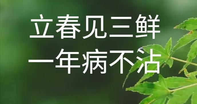 2月4日立春，老人說：“立春見3鮮，一年病不沾”，3鮮指的是啥？