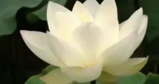 生娃後，有一種酷刑叫同房……這些難言之隱你中了幾個？