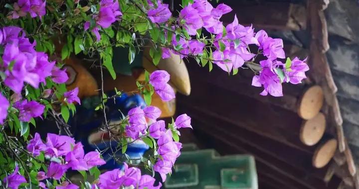 年關將近：地不去二，酒不喝三，親不走四