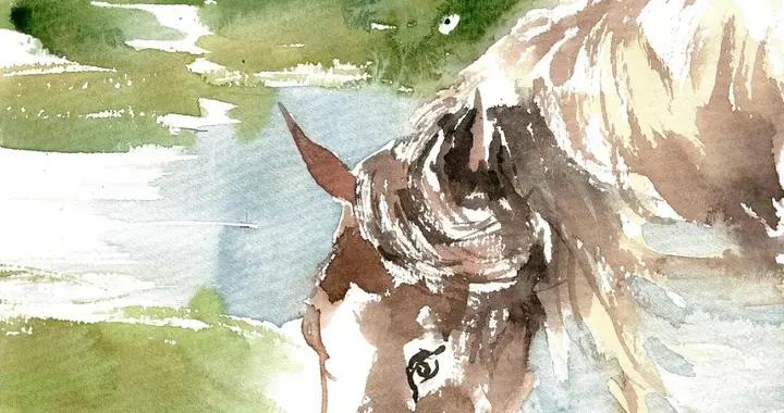 說起“馬”，你會想到什麼？驄、騅、駱、驪、驊、騮...