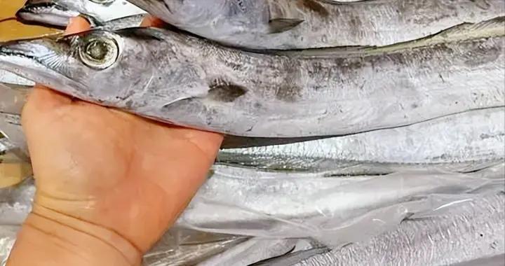 買帶魚，挑“黑眼”還是“黃眼”的好？差別大了，建議弄懂再買！